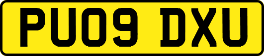 PU09DXU
