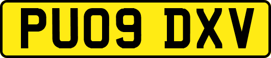 PU09DXV