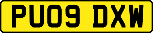 PU09DXW