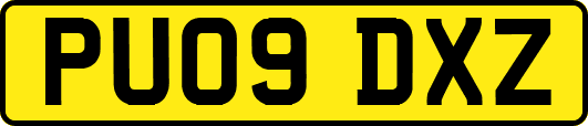 PU09DXZ