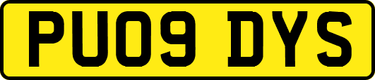 PU09DYS