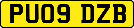 PU09DZB