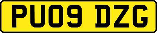 PU09DZG