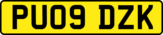 PU09DZK