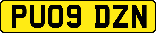 PU09DZN