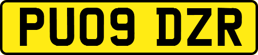 PU09DZR