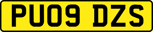 PU09DZS