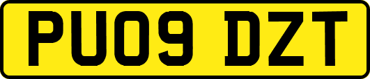 PU09DZT