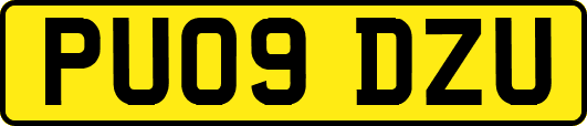 PU09DZU