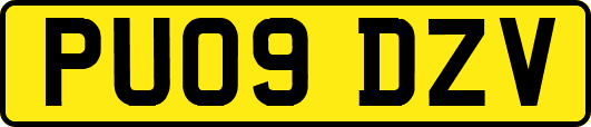 PU09DZV