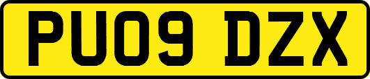 PU09DZX