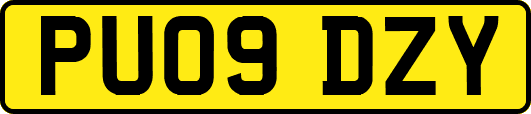 PU09DZY