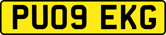 PU09EKG