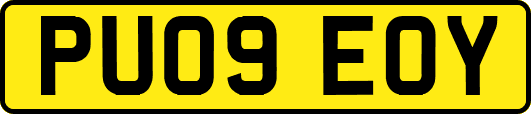 PU09EOY