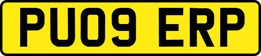 PU09ERP
