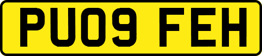 PU09FEH