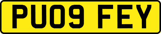 PU09FEY