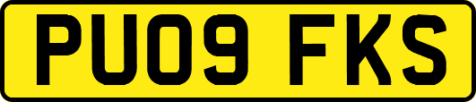 PU09FKS