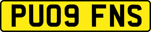 PU09FNS