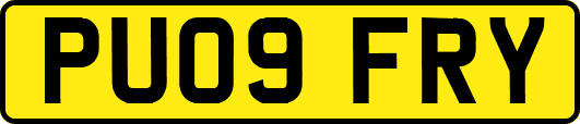 PU09FRY
