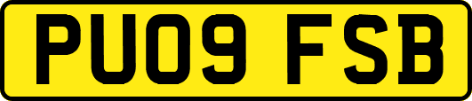 PU09FSB