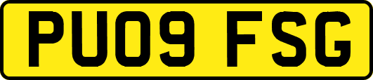 PU09FSG