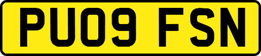 PU09FSN