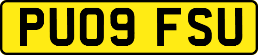 PU09FSU