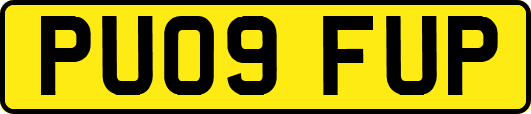 PU09FUP