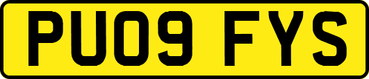 PU09FYS