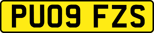 PU09FZS