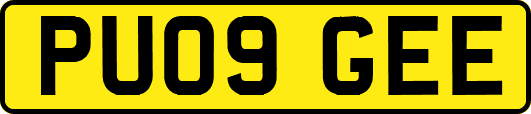 PU09GEE