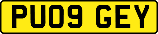PU09GEY