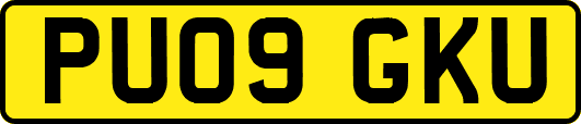 PU09GKU