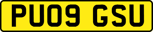 PU09GSU
