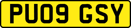 PU09GSY