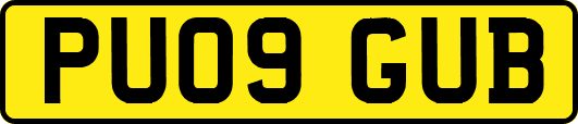 PU09GUB