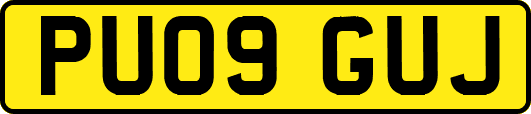 PU09GUJ