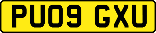 PU09GXU