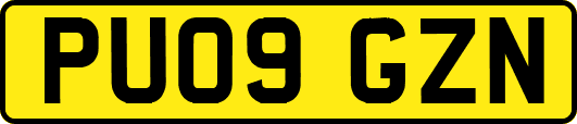 PU09GZN