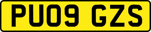 PU09GZS
