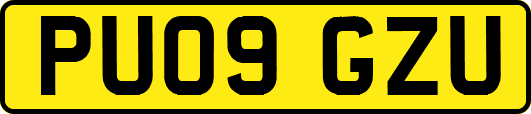 PU09GZU