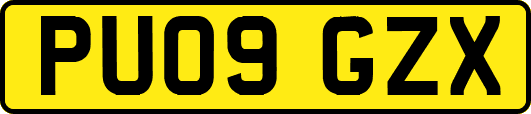 PU09GZX