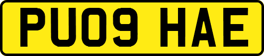 PU09HAE