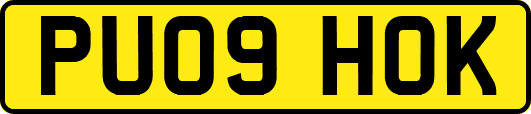 PU09HOK