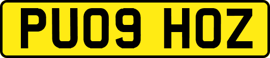 PU09HOZ