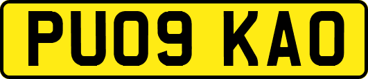 PU09KAO