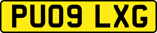 PU09LXG