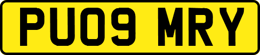 PU09MRY