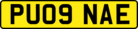 PU09NAE